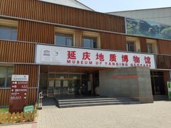 -延庆地质公园博物馆