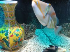 -南昌融创海世界