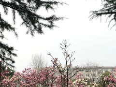 -成都中医药大学(温江校区)