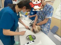 -康成宠物医院24H·CT·核磁共振