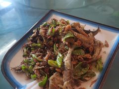 -鱼乐岛餐厅·户外花园主题餐厅