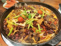 -老板恋上鱼(振华商厦店)