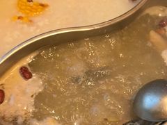 -阿源鱼捞斑鱼火锅·海鲜粥(山景尚宅店)