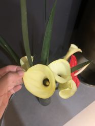 -宸山医美·变美艺术馆