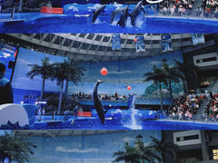 -海合安成都极地海洋公园