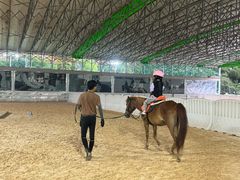 -名驭国际马术学院