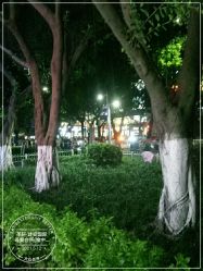 -圣轩·诗安国际母婴会所(渝中店)