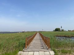 -黑龙江扎龙生态旅游区