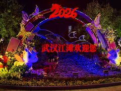 -武汉知音号