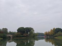 -圩墩遗址公园
