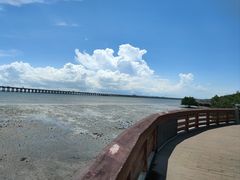 -宝安西湾红树林湿地公园