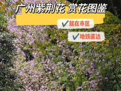 -烈士陵园(地铁站)