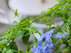 -Beans Solo豆号咖啡(百家湖花园店)