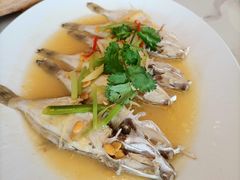 -厝包四点金·潮宴(太古仓店)