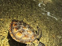 -绍兴梦享海洋公园