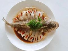 -天鹅到家·保姆月嫂育儿嫂(朝阳店)