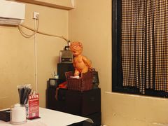 -文和友老长沙龙虾馆(化龙池店)