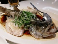 -至潮餐厅精致粤菜·活鲈鱼·走地鸡(珠江新城店)