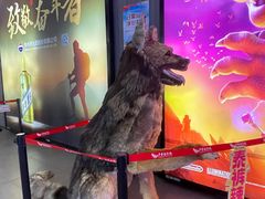 -卢米埃影城(住总万科杜比全景声激光店)