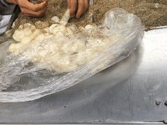 -叶氏麻糍(鼓浪屿店)