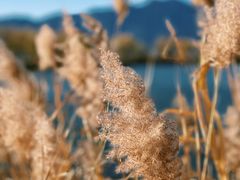 -野鸭湖国家湿地公园