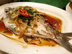 蒸边鱼-金城大酒店-中餐厅(汾江中路店)