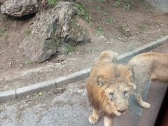 -大连森林动物园