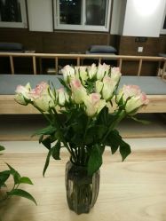 -FineYoga梵音瑜伽·普拉提