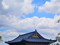 -神光山国家森林公园