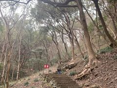 -严子陵钓台(富春江小三峡)