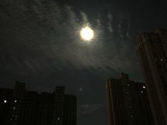 -西贝(大卫城店)