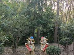 -合肥滨湖国家森林公园