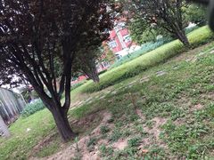 -对外经济贸易大学附属中学