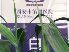 -西安市人民医院(大差市院区)