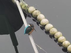 -重庆彩云湖湿地公园