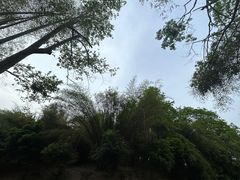 -潜山国家森林公园