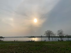 -贡湖湾湿地公园