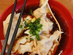 红油抄手-龙抄手(春熙路总店)