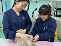 -北京观赏动物医院·24小时大型综合·猫专科·异宠专科
