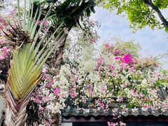 -深圳国际园林花卉博览园