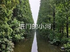 -金岛生态园烧烤露营地