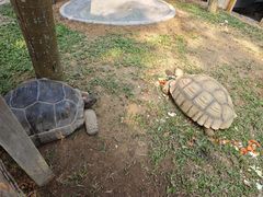 -三亚蜈支洲岛旅游区