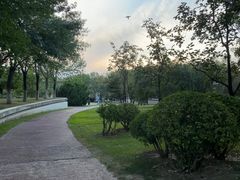 -北京国家会计学院