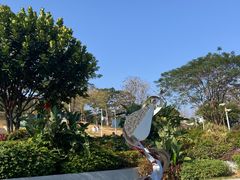 -白石龙音乐公园