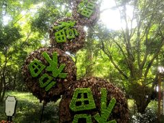 -灵隐飞来峰景区