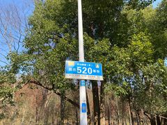 -青龙山国家森林公园