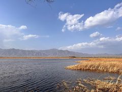 -野鸭湖国家湿地公园