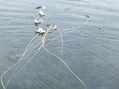 -丽江泸沽湖景区