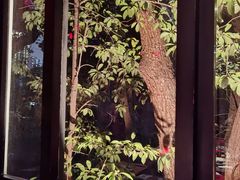 -花马天堂云南餐厅 Lost Heaven(高邮路店)