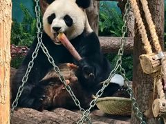 -大连森林动物园